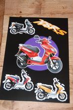 Honda X8R-S pers- reclamefoto, Fietsen en Brommers, Ophalen of Verzenden, Nieuw