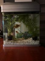 Aquarium 20 liter, Ophalen, Zo goed als nieuw, Leeg aquarium