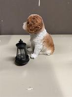 Tuinlamp - Spaniel met lampje, Tuin en Terras, Buitenverlichting, Staande lamp, Nieuw, Ophalen of Verzenden, Nvt