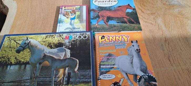Paardenzomerboek, dagboek,    vriendenboek,puzzel,, Boeken, Kinderboeken | Jeugd | onder 10 jaar, Zo goed als nieuw, Ophalen of Verzenden