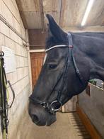 Rossner livorno lage (lak) neusriem hoofdstel full, Ophalen of Verzenden, Zo goed als nieuw, Dressuur