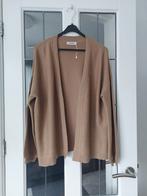Nieuwe open vest van Intrend by Max Mara maat XL, Verzenden, Beige, Nieuw, Maat 46/48 (XL) of groter