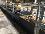 Zelfsluitend voerhek schapen lammeren schapenhek Veno, Dieren en Toebehoren, Meerdere dieren, Schaap