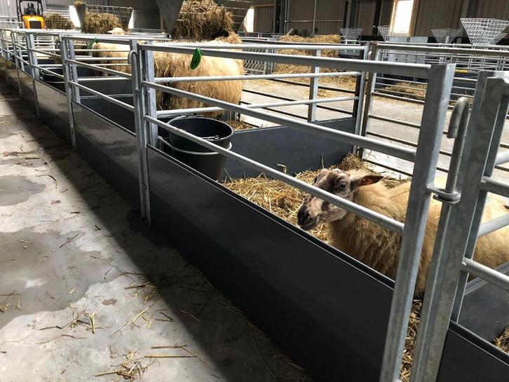 Zelfsluitend voerhek schapen lammeren schapenhek Veno, Dieren en Toebehoren, Schapen, Geiten en Varkens, Schaap, Meerdere dieren