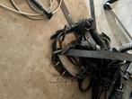 tuig en fell pony paard, Dieren en Toebehoren, Paarden en Pony's | Hoofdstellen en Tuigage, Ophalen, Nieuw, Dressuur