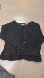 Vest zara 98-104, Kinderen en Baby's, Kinderkleding | Maat 98, Ophalen of Verzenden, Meisje, Trui of Vest