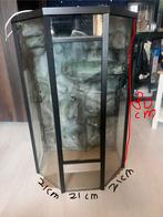 Mooi zeshoekig terrarium met achterwand., Dieren en Toebehoren, Ophalen, Gebruikt, Terrarium of Paludarium