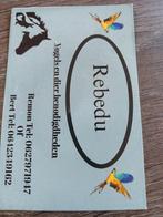 Mariman matador paloma beyer aidi