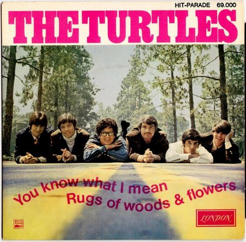 1824 Turtles - You know what I mean (kopie hoes), Cd's en Dvd's, Vinyl Singles, Gebruikt, Single, Pop, 7 inch, Ophalen of Verzenden
