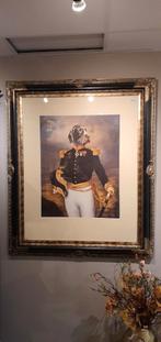 Hond in Napoleon Pak, Ophalen