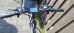 Pegasus elektrische Fiets - Wegklaar, Fietsen en Brommers, Elektrische fietsen, Ophalen, Gebruikt