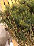 Wegens Annulering Kerstmarkt Hele Partij Moet Weg !!, Ophalen, Cornwallantiques@hotmail.com, Veenpolderstraat 37 2013 SV Haarlem