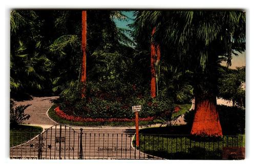 Lissabon, Lisboa, Jardim Botanico, Verzamelen, Ansichtkaarten | Buitenland, Gelopen, Overig Europa, Voor 1920, Verzenden