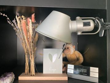 Artemide Tolomeo Pinza Aluminium beschikbaar voor biedingen