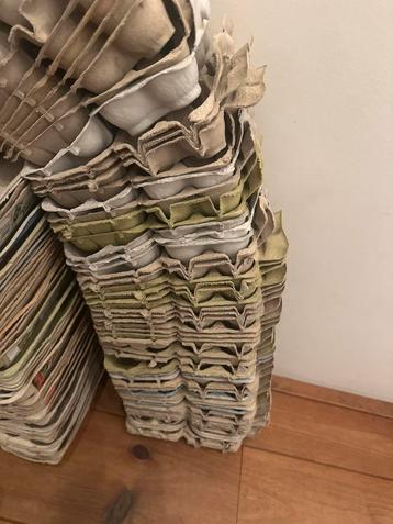 Lege Eierdozen - 50 stuks voor 6 eieren beschikbaar voor biedingen