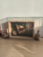 Vlinder in lijst, Ophalen, Nieuw, Insect, Opgezet dier