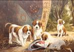 Schilderij: Sint Bernard pups, Antiek en Kunst, Ophalen of Verzenden