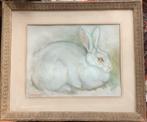 Konijn, Co Dankels Chevallier, schildeij, pastel, Artis, oud, Antiek en Kunst, Ophalen of Verzenden