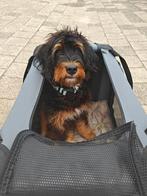 Honden bench, Dieren en Toebehoren, Ophalen, Zo goed als nieuw