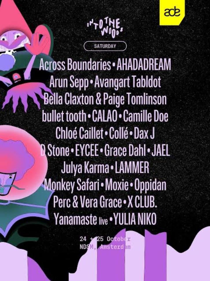 2 kaartjes Into The Woods festival ADE zaterdag 25 oktober, Tickets en Kaartjes, Evenementen en Festivals, Twee personen