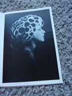 NAZIMOVA/CHARLIE CHAPLIN dubbelzijdige miniposter 41,5x29cm, Ophalen, Poster, Artwork of Schilderij