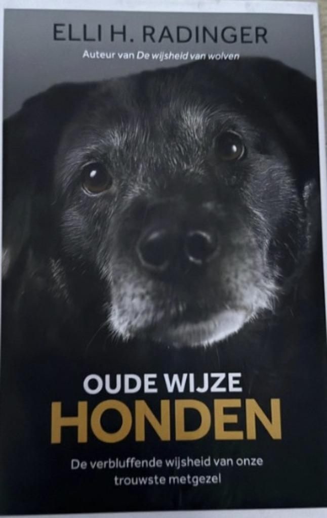 Oude wijze honden, Elli H. Radinger, Boeken, Dieren en Huisdieren, Zo goed als nieuw, Honden, Verzenden