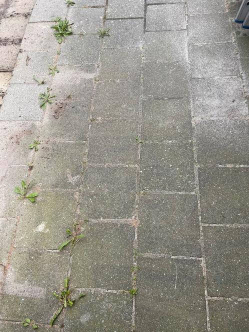 Gratis 30x30 cm tegels, Tuin en Terras, Tegels en Klinkers, Zo goed als nieuw, Overige typen, Beton, 10 m² of meer, Ophalen