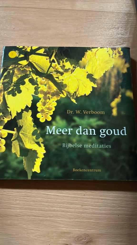 W. Verboom - Meer dan goud, Boeken, Godsdienst en Theologie, Gelezen, Ophalen of Verzenden