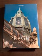 Prague Fin de Siècle - Architectuur Boek, Boeken, Ophalen of Verzenden, Zo goed als nieuw, Stijl of Stroming