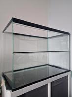 Queenies glazen terrarium + items, Kooi, Muis, Minder dan 60 cm, 75 tot 110 cm