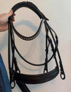 Passier Icarus hoofdstel maat Full, Ophalen of Verzenden, Nieuw, Dressuur