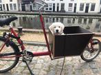Superhandige rode bakfiets!, Fietsen en Brommers, Fietsen | Bakfietsen, Ophalen, Gebruikt, Goederen, Overige merken