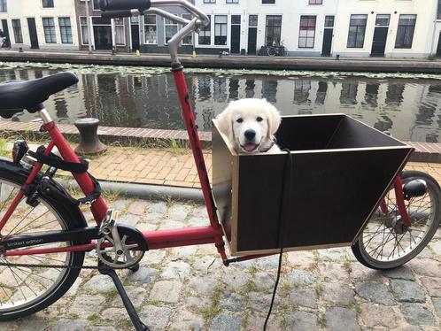 Superhandige rode bakfiets!, Fietsen en Brommers, Fietsen | Bakfietsen, Gebruikt, Overige merken, Goederen, Ophalen
