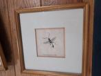 Jacob Sturm, Antiek en Kunst, Kunst | Etsen en Gravures, Ophalen of Verzenden