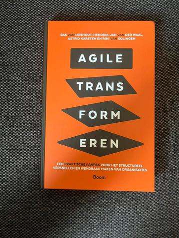 Rini van Solingen - Agile transformeren beschikbaar voor biedingen