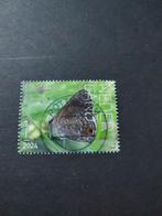 4181 vlinders Bonaire hairstreak 2024, Postzegels en Munten, Postzegels | Nederland, Ophalen of Verzenden