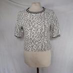 Stoer kort grijs damesshirt/top.Mt S.Merk CKH, ., Ophalen of Verzenden, Zo goed als nieuw, Korte mouw