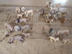 Schleich leeuwen collectie, Verzamelen, Dierenverzamelingen, Ophalen of Verzenden, Zo goed als nieuw, Paard, Beeldje of Figuurtje