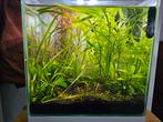 Gebruiksklaar 25 liter aquarium, Ophalen, Zo goed als nieuw, Leeg aquarium