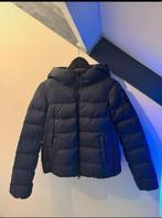 Peuterey winter jas/puffer, Kleding | Dames, Jassen | Winter, Blauw, Maat 42/44 (L), Ophalen of Verzenden, Zo goed als nieuw