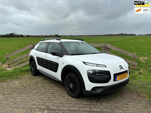 Citroen C4 Cactus 1.2 PureTech Business AUTOMAAT, Auto's, Citroën, Bedrijf, Te koop, C4 Cactus, ABS, Achteruitrijcamera, Airbags