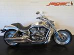 Harley-Davidson VRSCA V-ROD ZEER FRAAI! (bj 2002), Chopper, Bedrijf, Meer dan 35 kW, 1131 cc