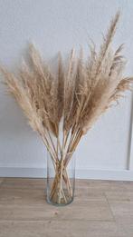 Pampas pluim, Ophalen