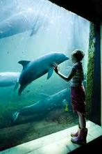 2 e tickets voor het Dolfinarium Harderwijk, Twee personen, Ticket of Toegangskaart