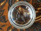 Mooie vintage paardenhoofd presse-papier uit Engeland 9 cm., Antiek en Kunst, Antiek | Glas en Kristal, Ophalen of Verzenden