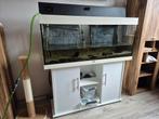 Te koop juwel aquarium 240l inclusief onderstel, Dieren en Toebehoren, Vissen | Aquaria en Toebehoren, Ophalen, Zo goed als nieuw