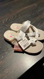 Nieuwe slippers sketches maat 38, Ophalen of Verzenden, Nieuw