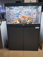 Aqarium Uitverkoop Vijver centrum Apeldoorn, Ophalen of Verzenden, Leeg aquarium