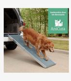 Honden telescoping loopplank, Dieren en Toebehoren, Ophalen of Verzenden, Gebruikt