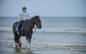 Gezocht: Tinker ️ beschikbaar voor biedingen